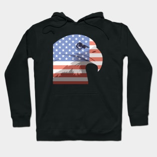 American Bald Eagle Hoodie